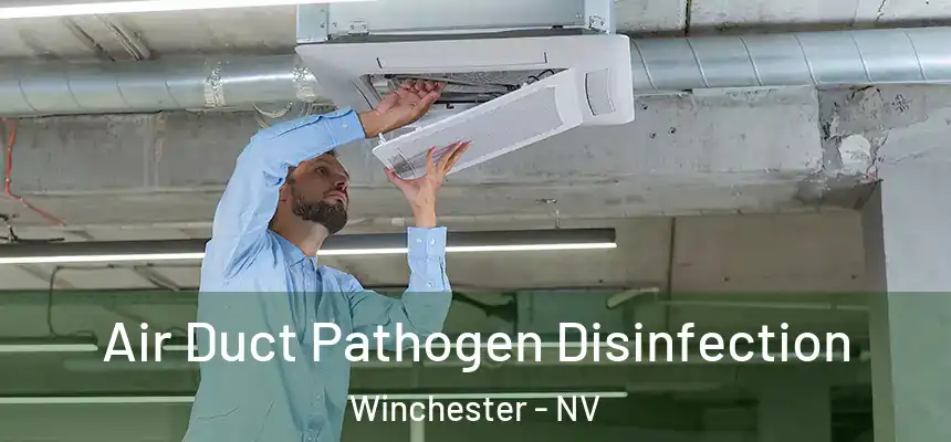 Air Duct Pathogen Disinfection Winchester - NV