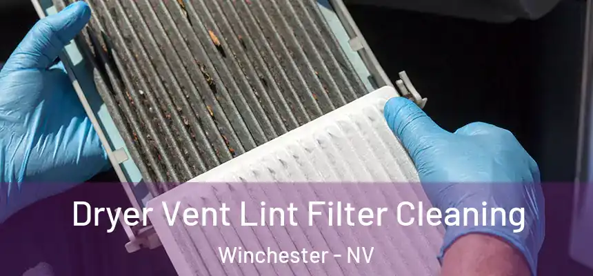  Dryer Vent Lint Filter Cleaning Winchester - NV