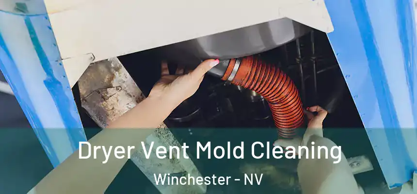  Dryer Vent Mold Cleaning Winchester - NV