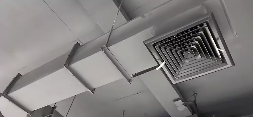 Our Pest Removal From Ducts Services in Winchester, NV