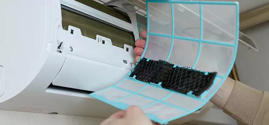 Gentle Ductwork Odor-Control Pet Dander Duct Cleaning in Winchester, NV