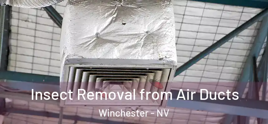 Insect Removal from Air Ducts Winchester - NV