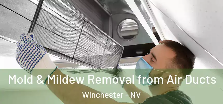 Mold & Mildew Removal from Air Ducts Winchester - NV