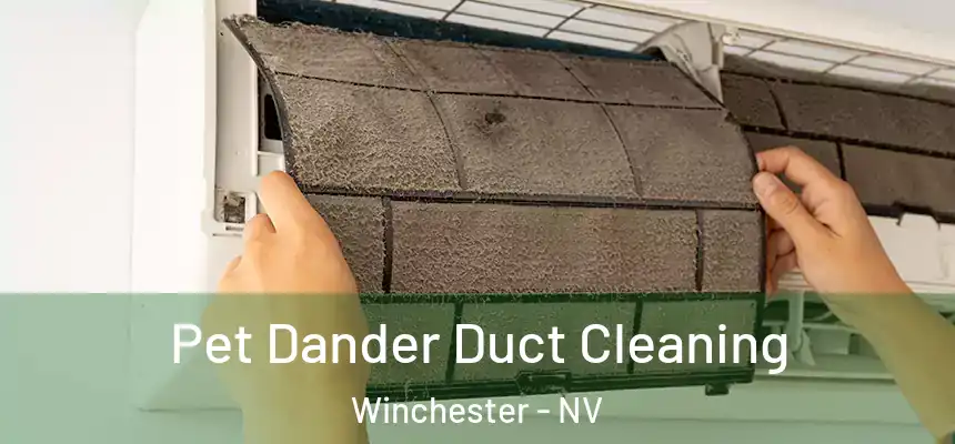  Pet Dander Duct Cleaning Winchester - NV