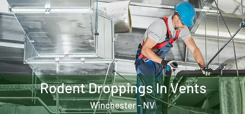 Rodent Droppings In Vents Winchester - NV