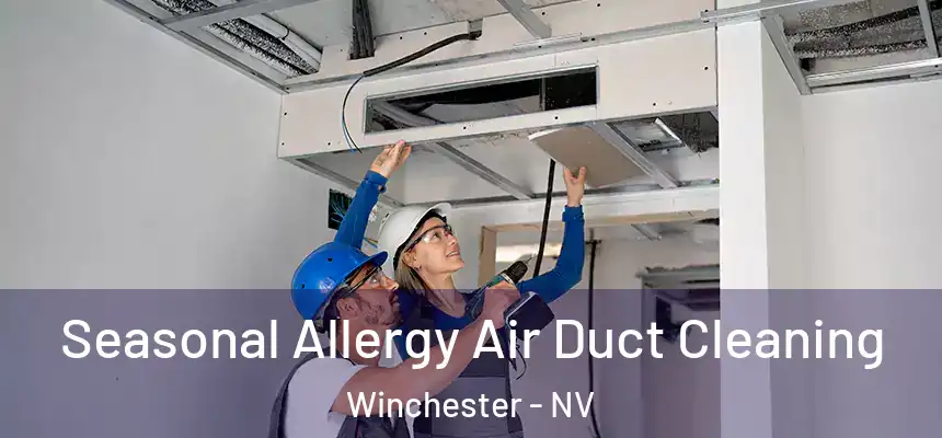  Seasonal Allergy Air Duct Cleaning Winchester - NV