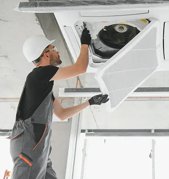 About Air Duct Rodent Removal in Winchester, NV