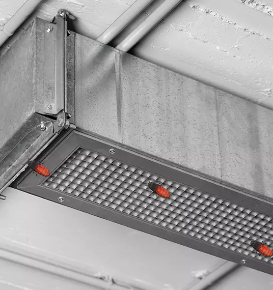 Affordable Insect Removal from Air Ducts in Winchester, NV