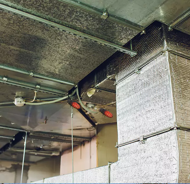 Why Homeowners & Businesses Trust Us in Winchester, NV?