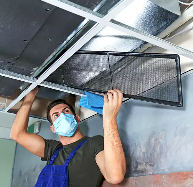 Why Homeowners Businesses Trust Us in Winchester, NV