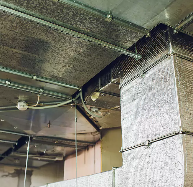 Why Homeowners & Businesses Trust Us in Winchester, NV?